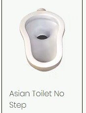 Asian Toilet No Step